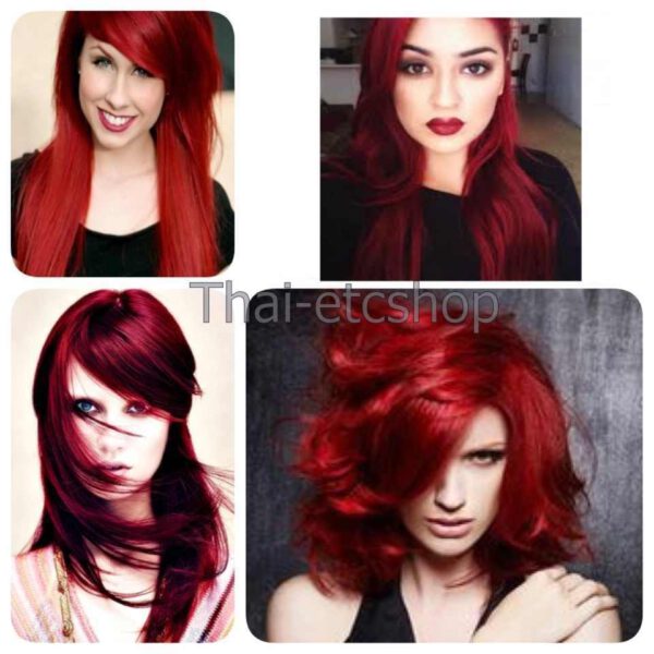 Berina : A9 : garnet red : Permanent Hair Color Cream Hair Dye Professional Use