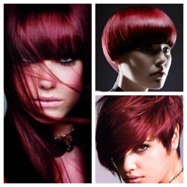 Berina : A9 : garnet red : Permanent Hair Color Cream Hair Dye Professional Use - Image 2